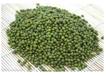 Mung Bean