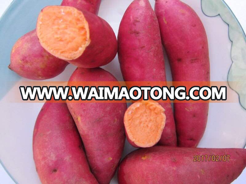 Frozen Potato French