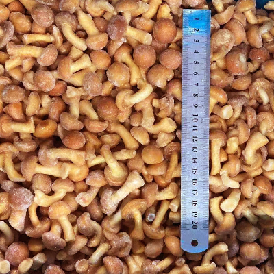 Frozen Nameko Mushro