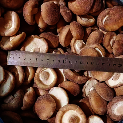 Frozen Whole Shiitak